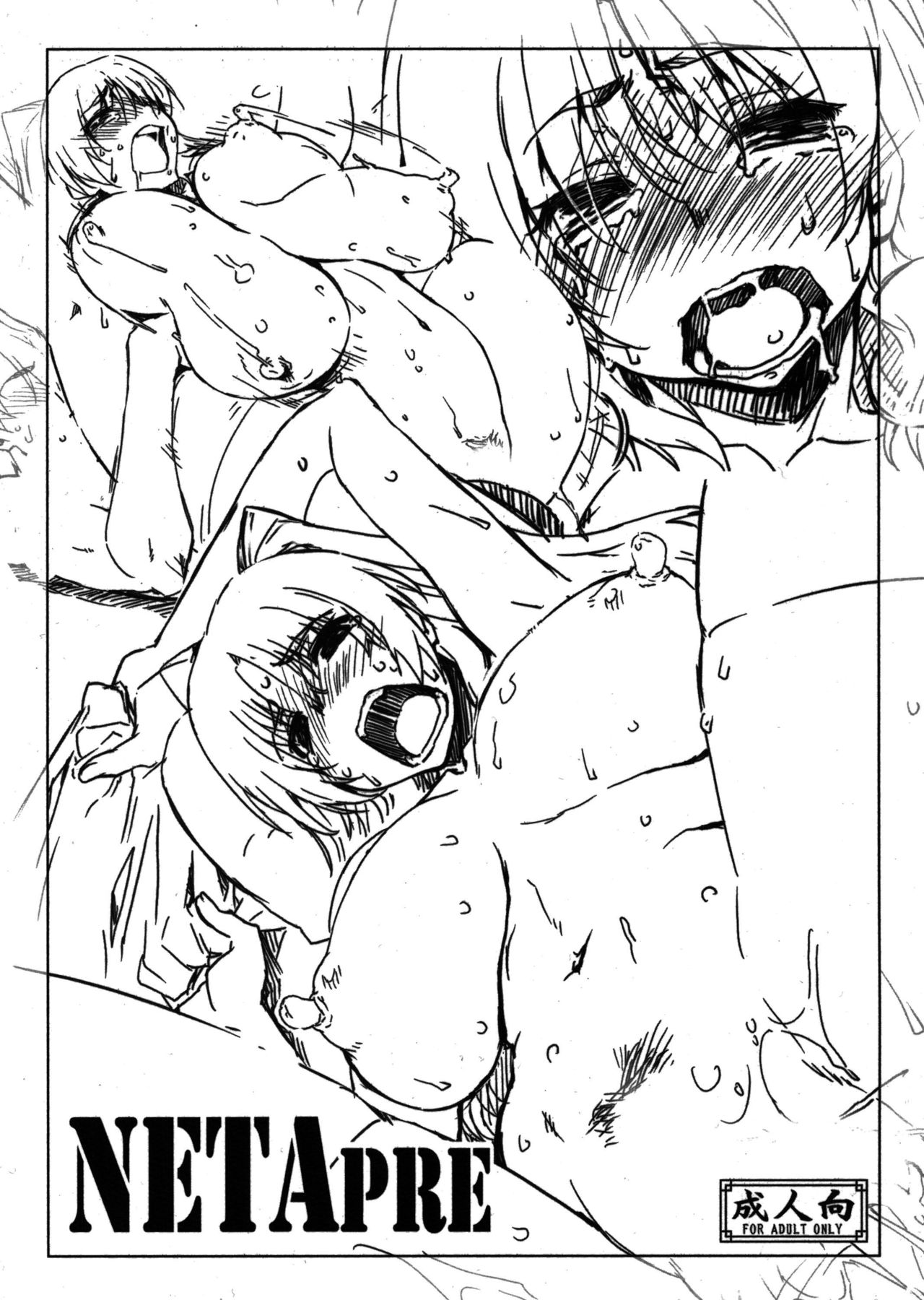 NETApre page 1 full