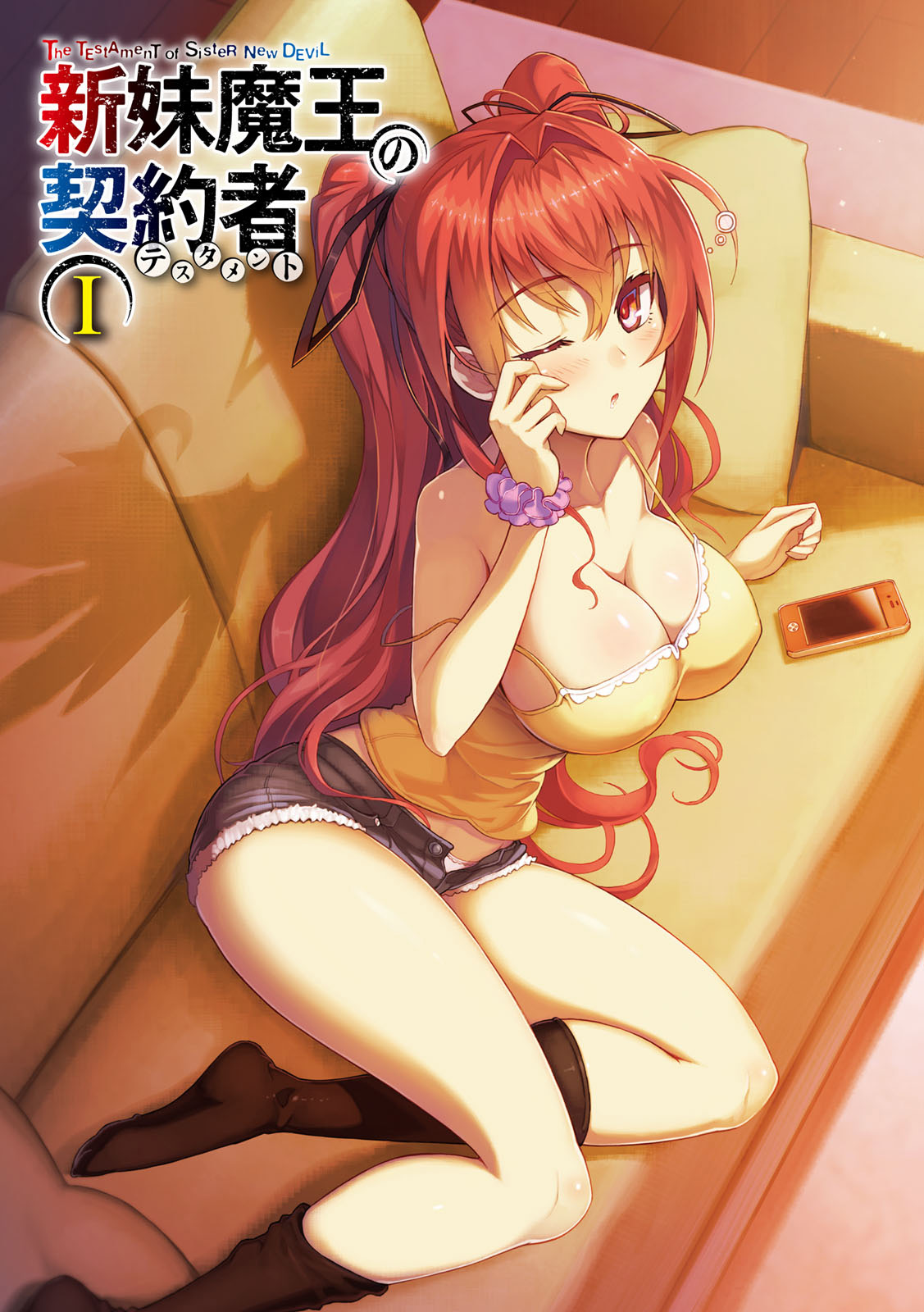 Testament Of Sister New Devill Hentai - The Testament of Sister New Devil Light Novel Illustrations - Page 3 -  IMHentai