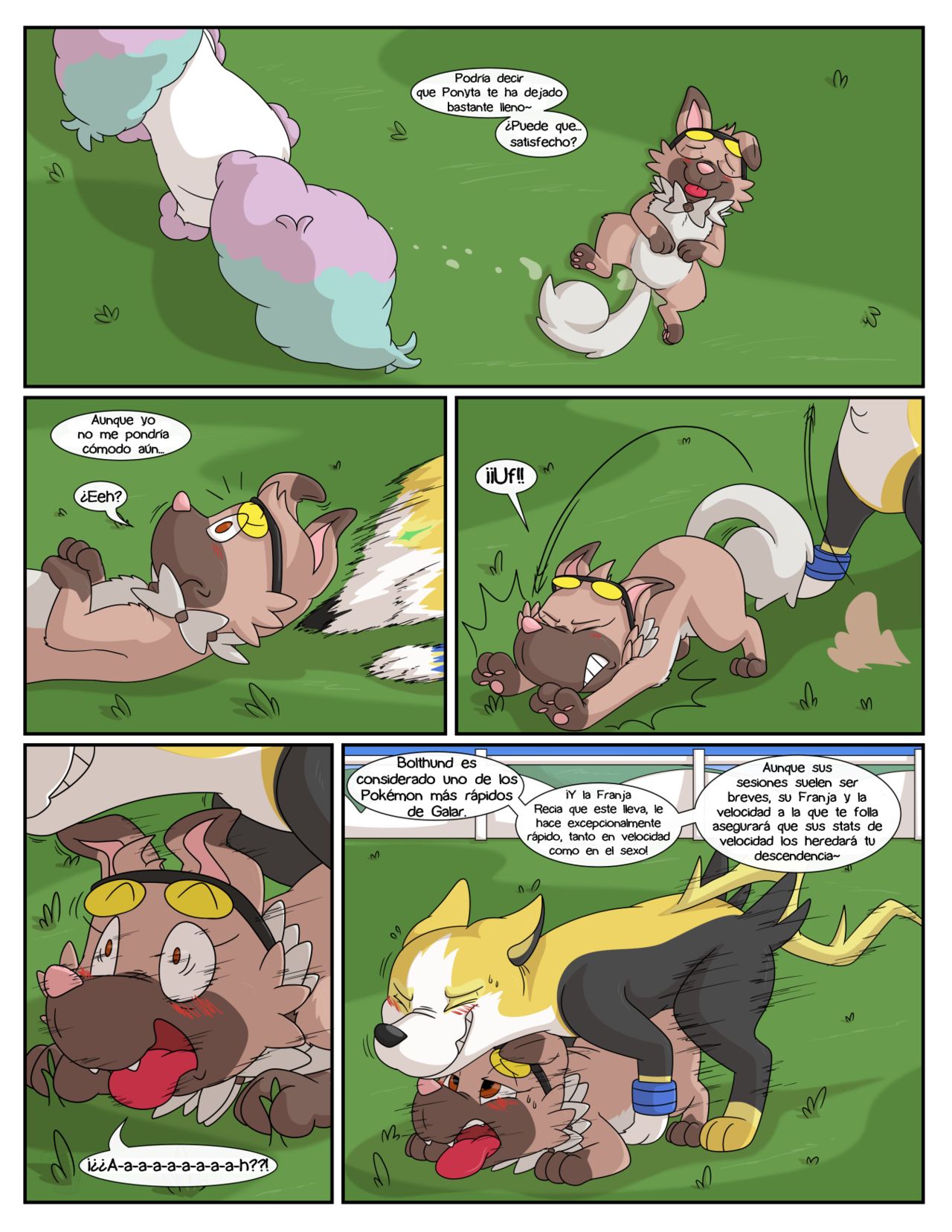 Breeding 103 / Crianza 103 page 6 full