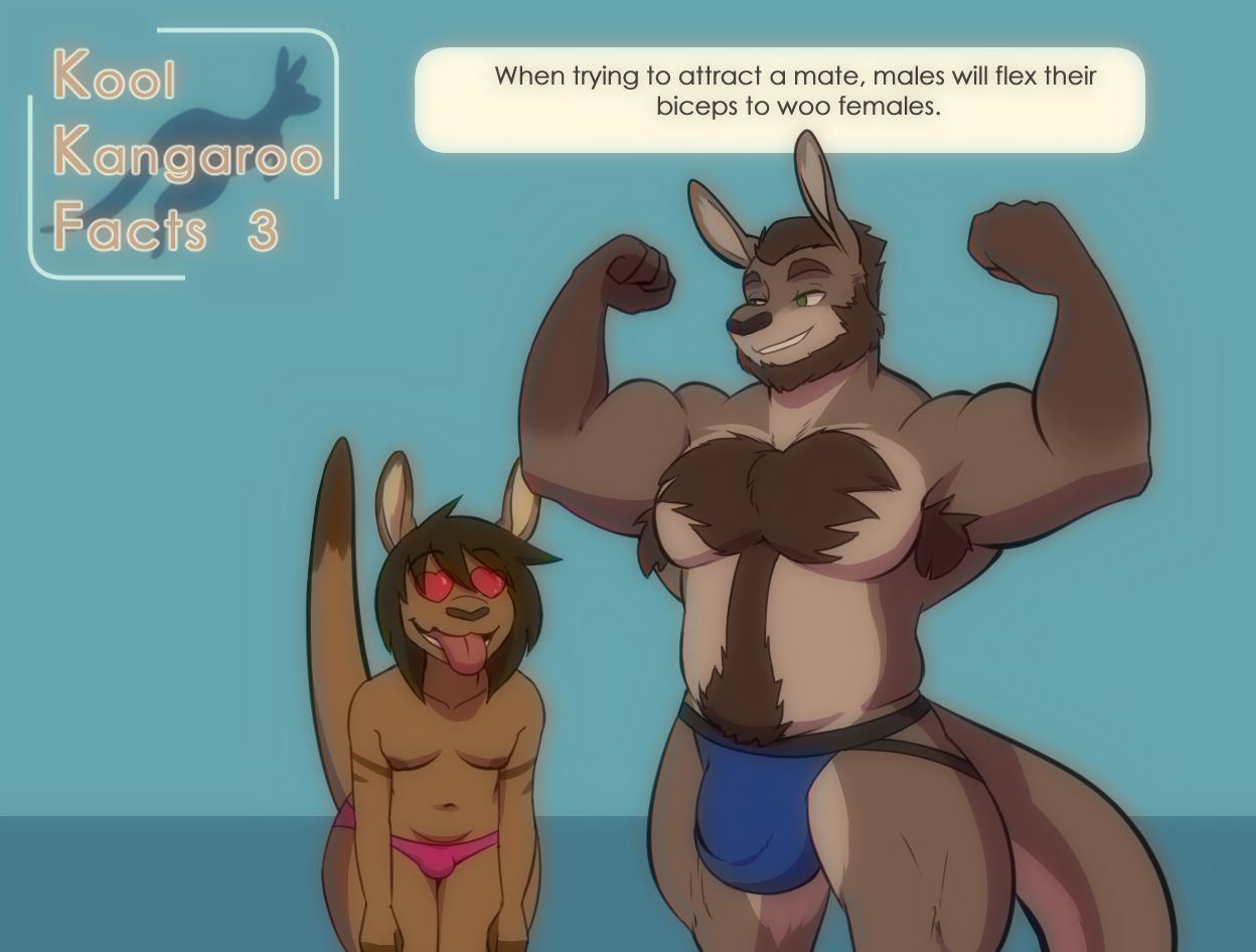 Kool Kangaroo Facts page 3 full