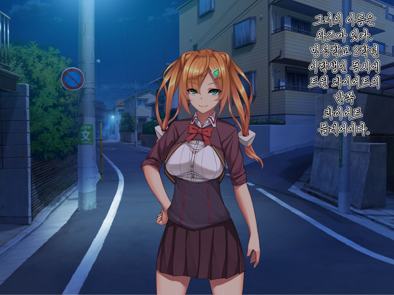 Twin Quiet II - Kasou Shinshoku Jaaku Ni Somaru Koku page 9 full