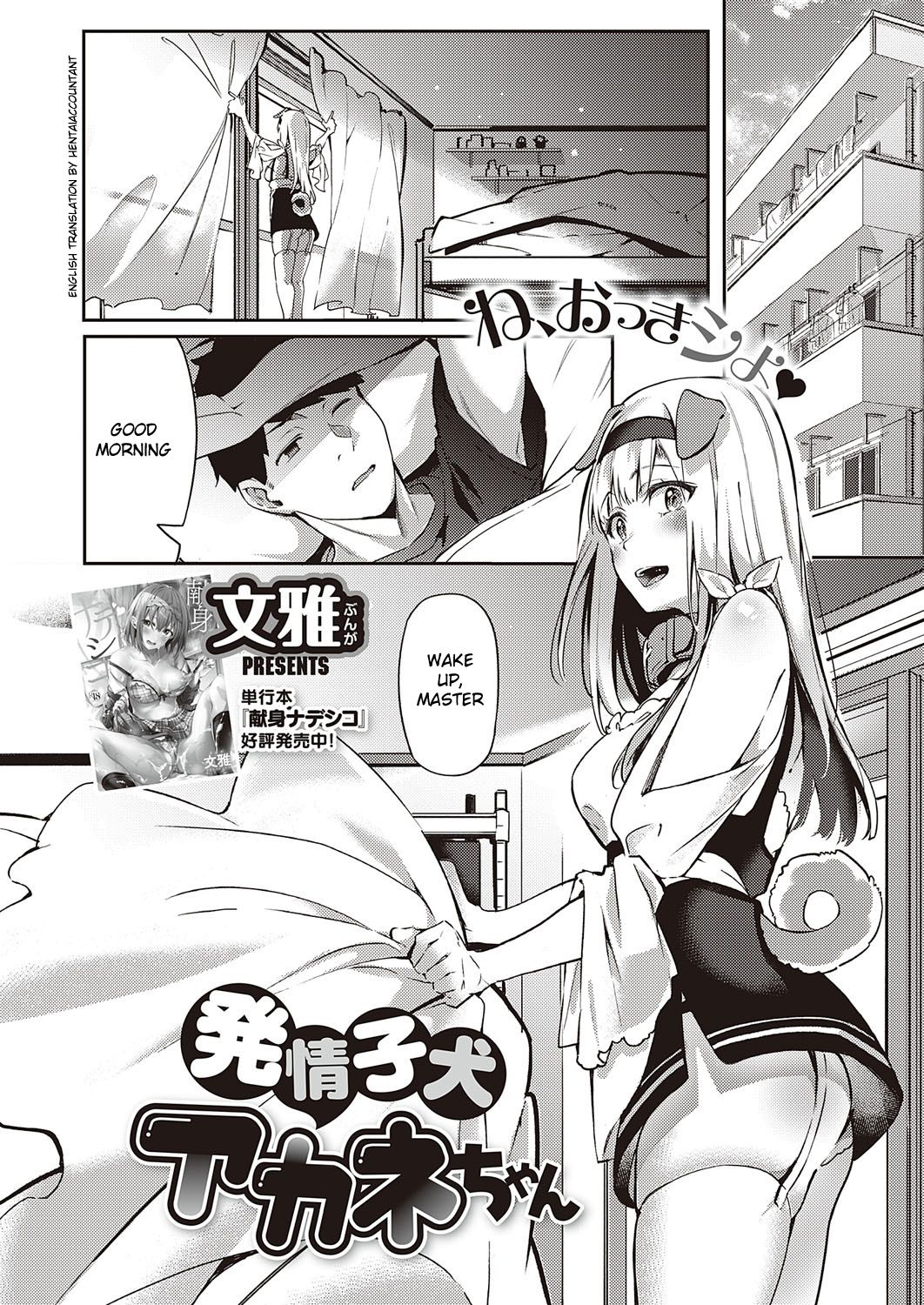 Hatsujou Koinu Akane-chan page 1 full