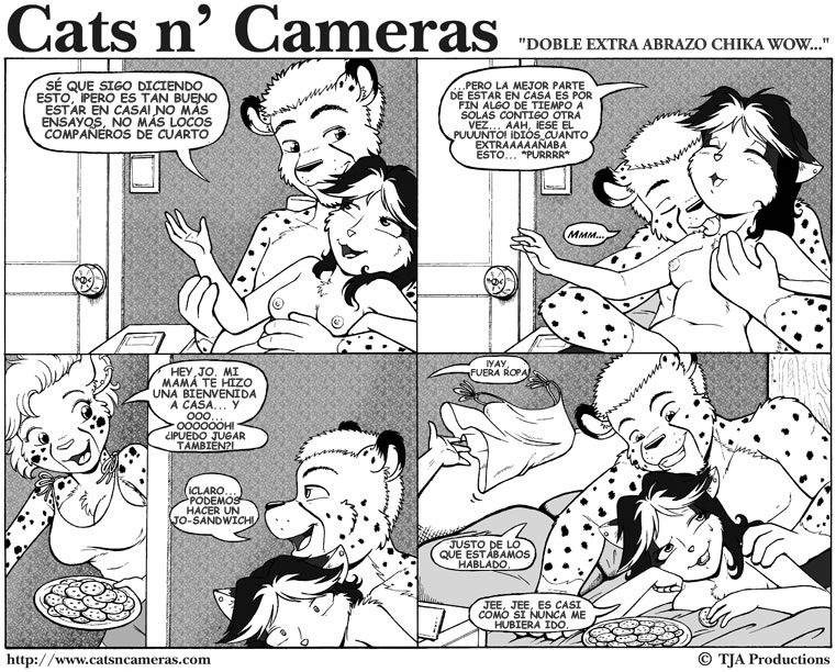 Cats & Cameras page 3 full