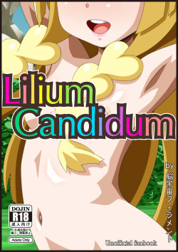 Lilium Candidmum
