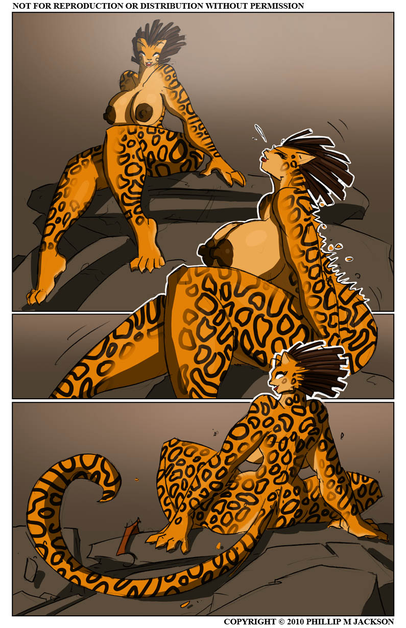 Jaguar Spirit page 9 full