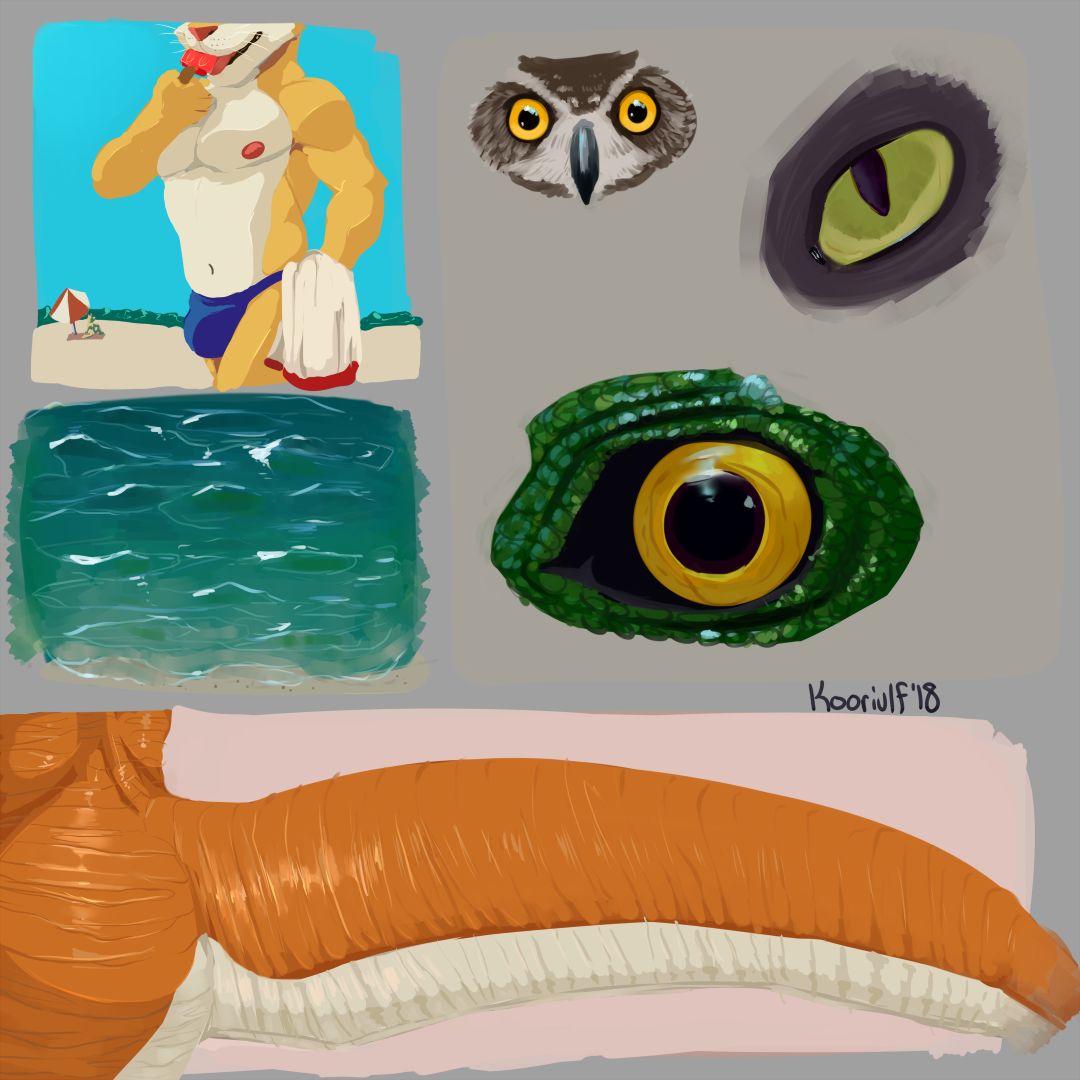 koorivlf 2019 page 1 full
