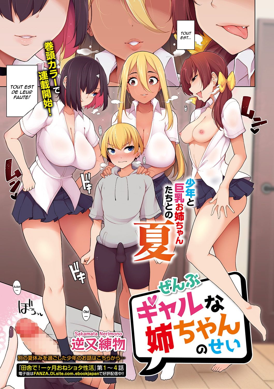 Zenbu Gal na Nee-chan no Sei page 1 full