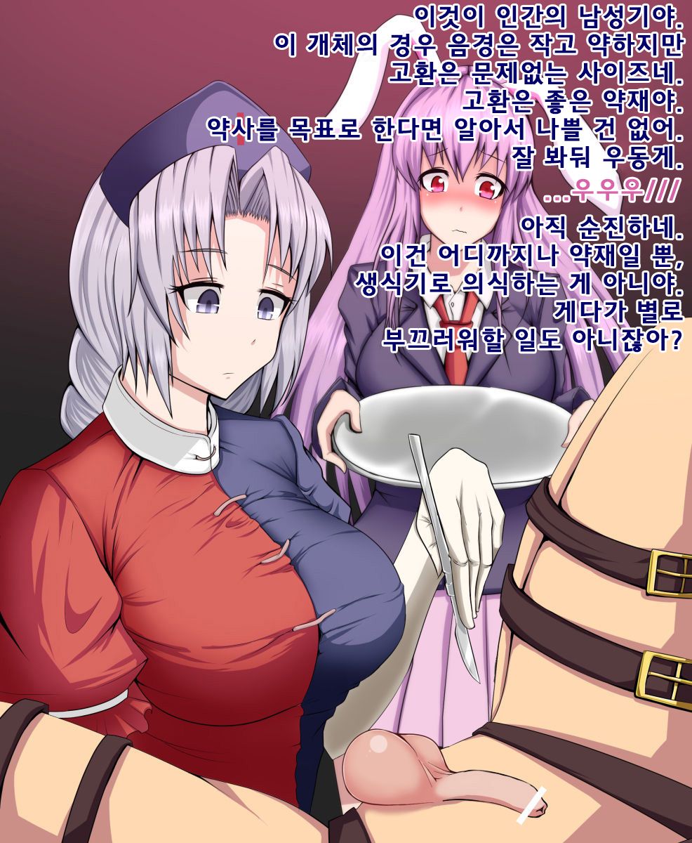 Eirin to Udonge no Kyousei Kougan Tekishutsu Shujutsu l 에이린과 우동게의 강제 고환 적출 수술 page 3 full