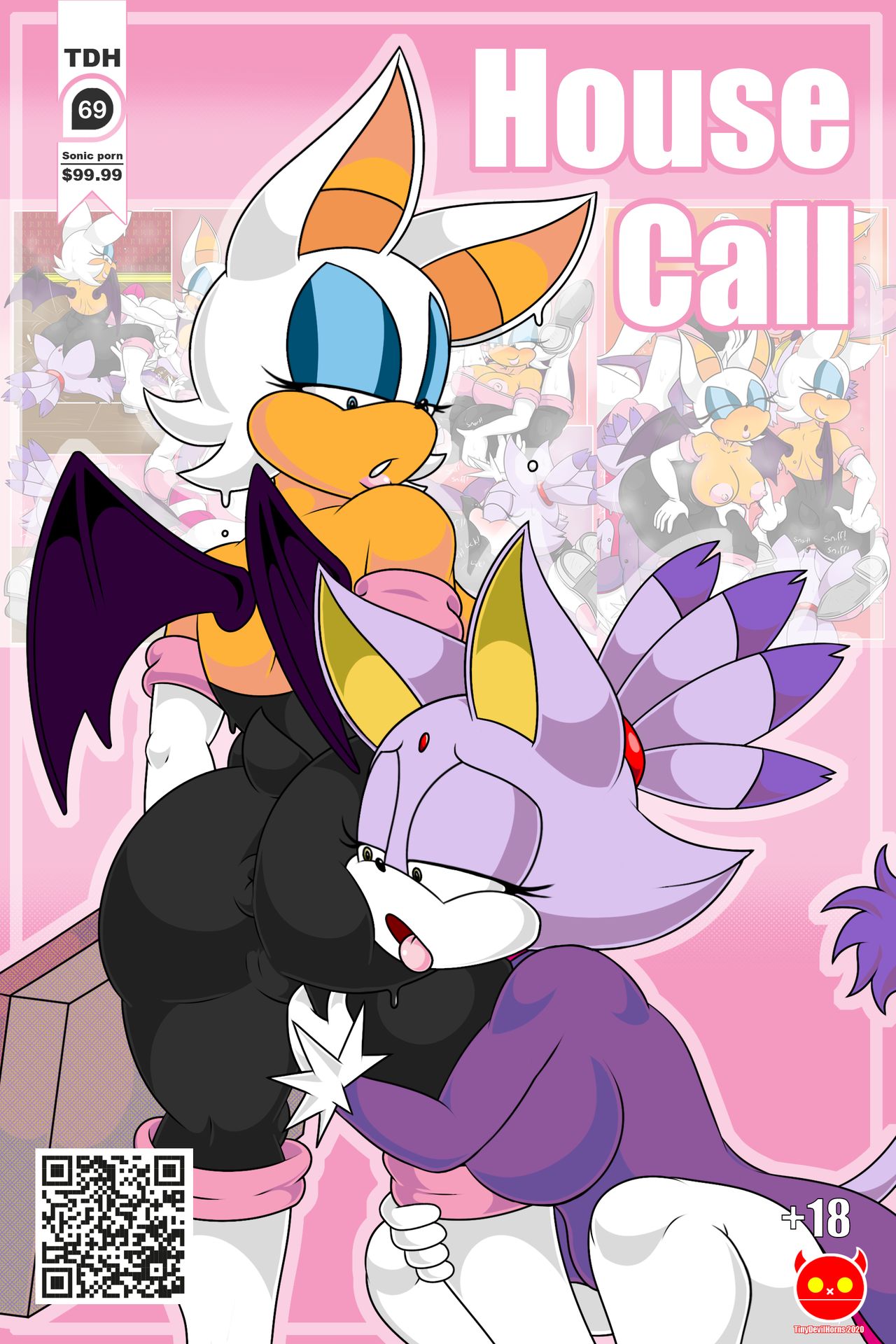 Rouge and Blaze in: House Call page 1 full