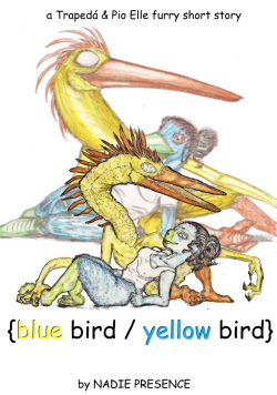 Blue Bird / Yellow Bird