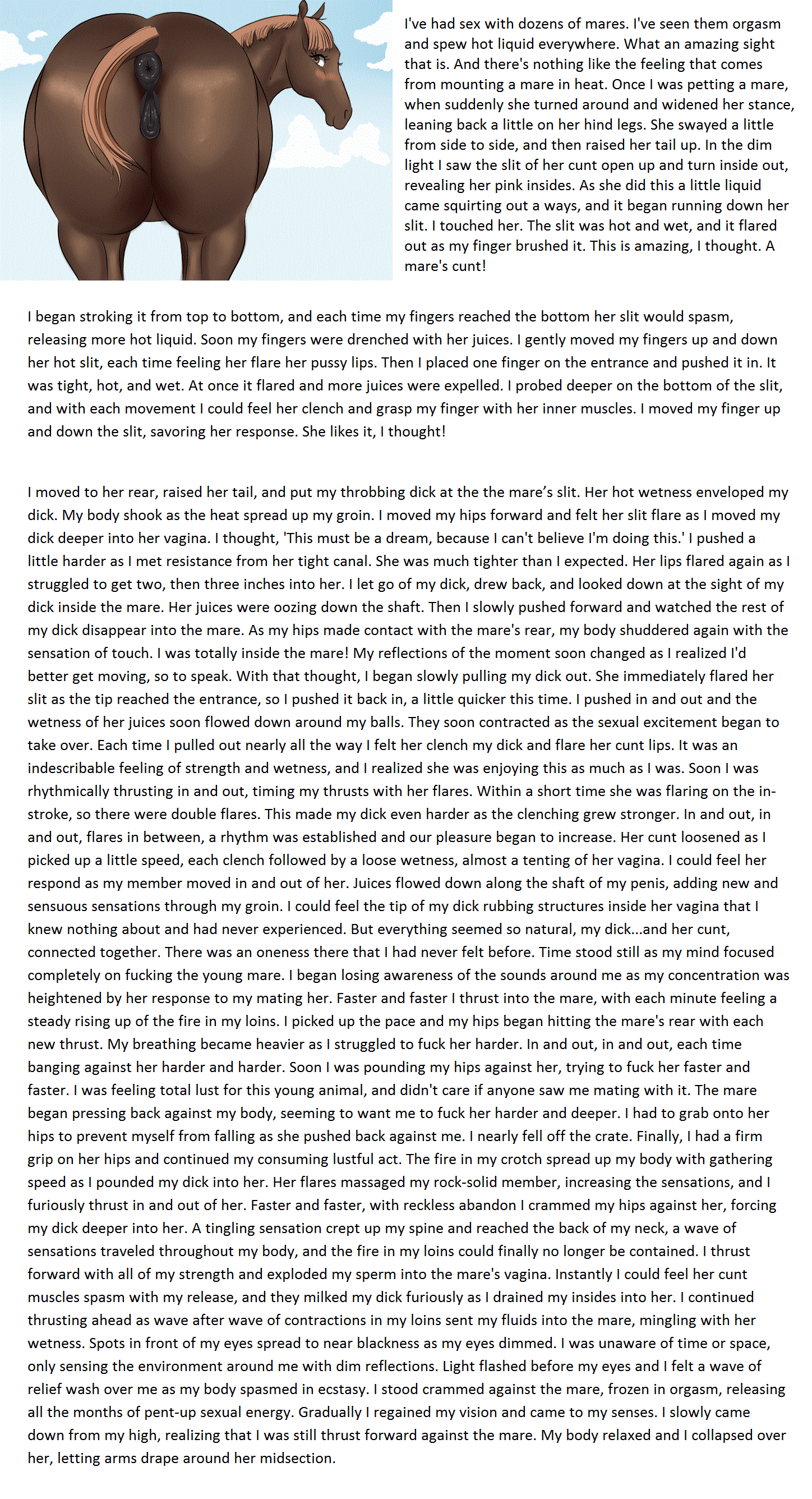 Horse CYOA/JOI page 8 full