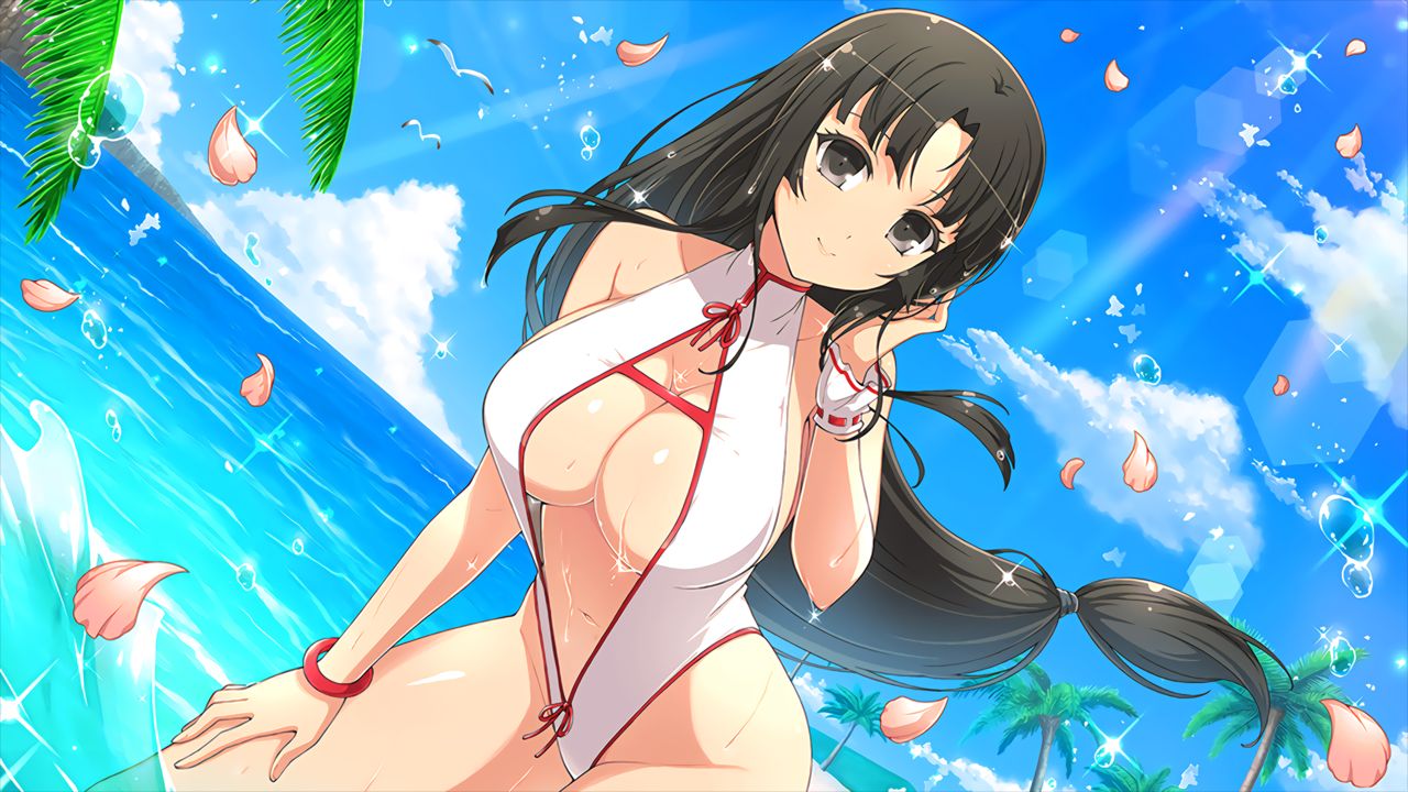 Master Ninja Senran Kagura NEW LINK - Swimsuits page 10 full