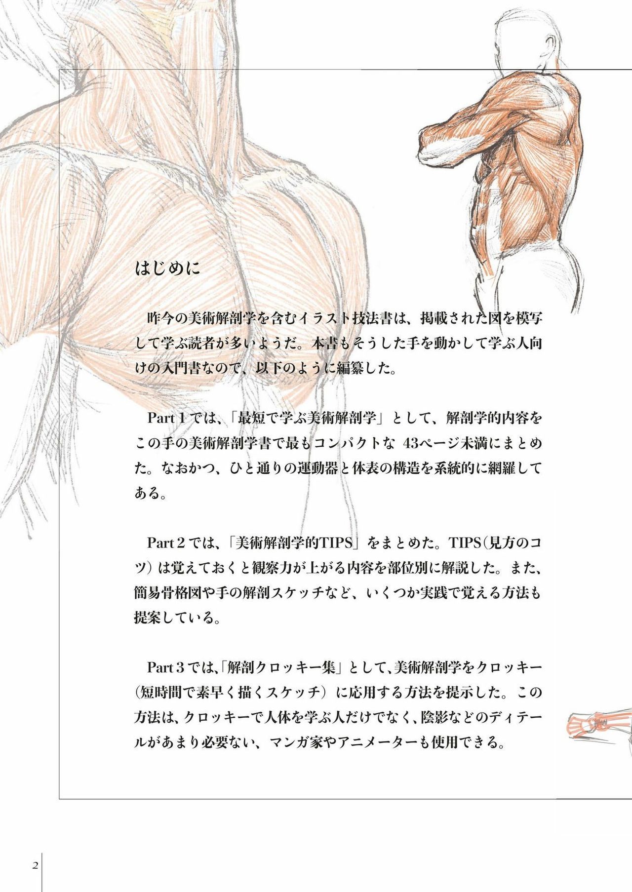 Art anatomy learned from sketches by Kota Kato page 4 full