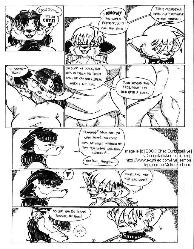 Patrick Joins the Harem by Chad Burbidge page 4 full