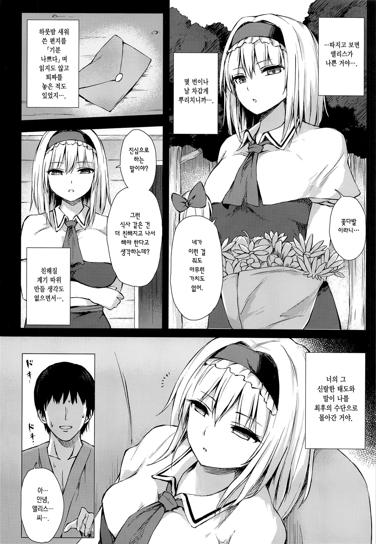 Dereochi Alice Margatroid page 3 full