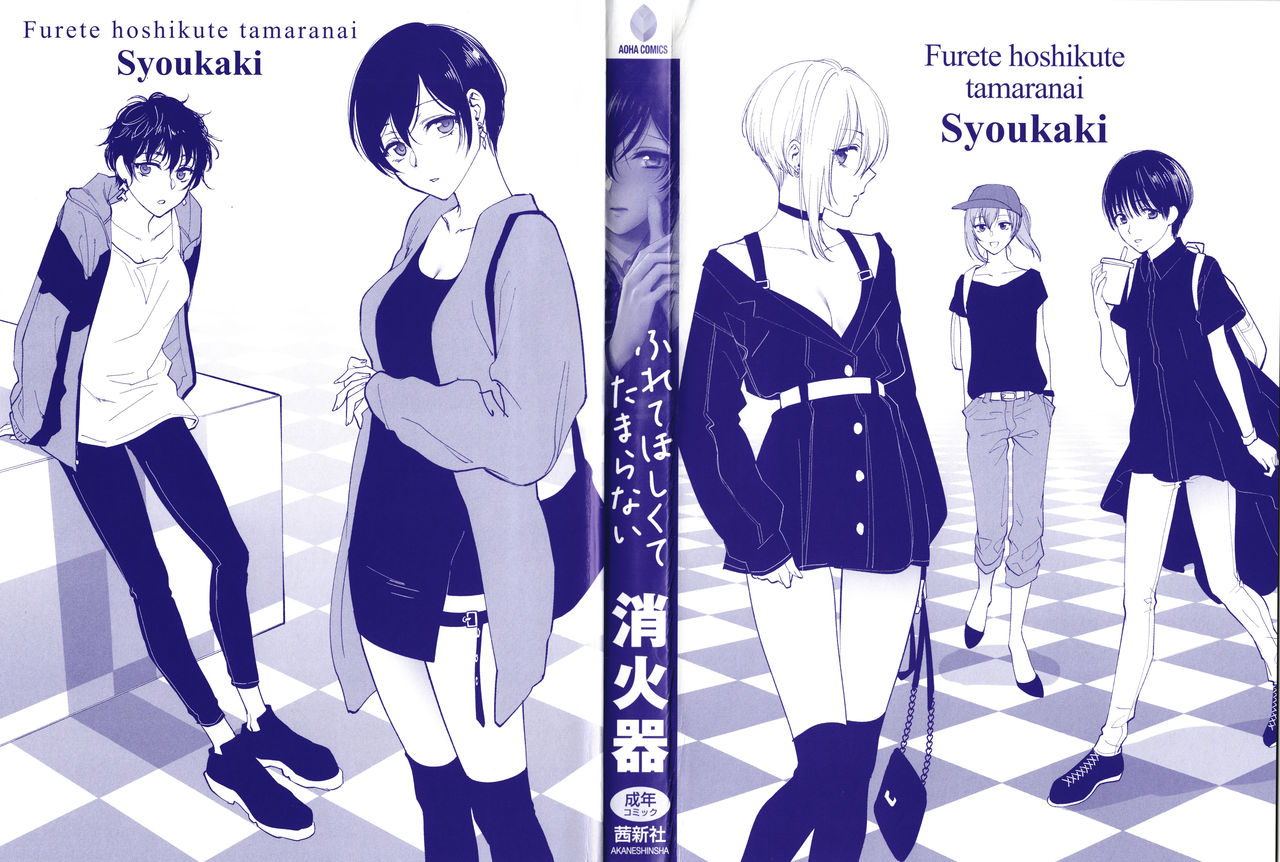 Furete Hoshikute Tamaranai | 닿고싶어 참을 수 없어 page 3 full