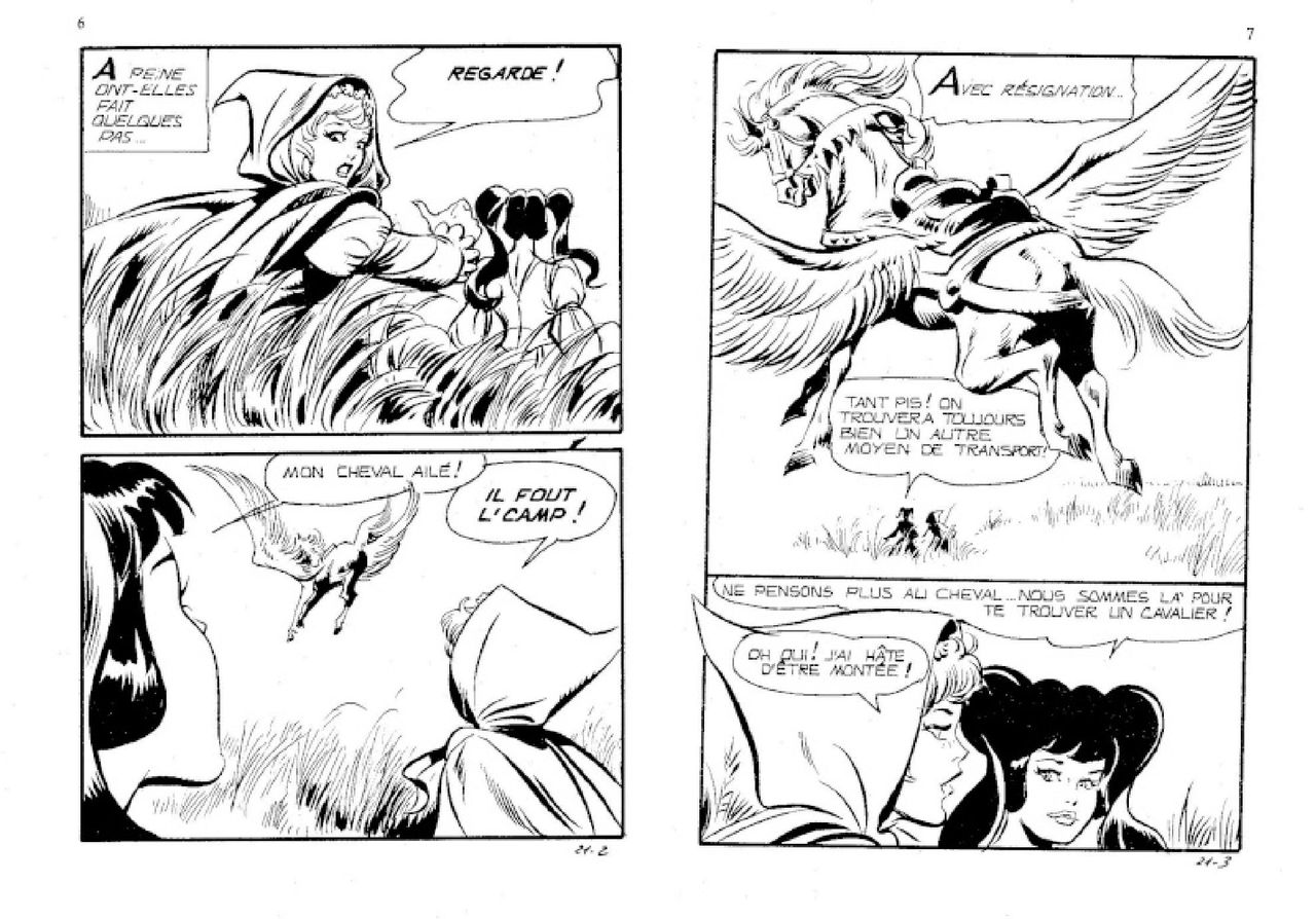 Contes malicieux - T21 - Le bois des enchantements page 4 full