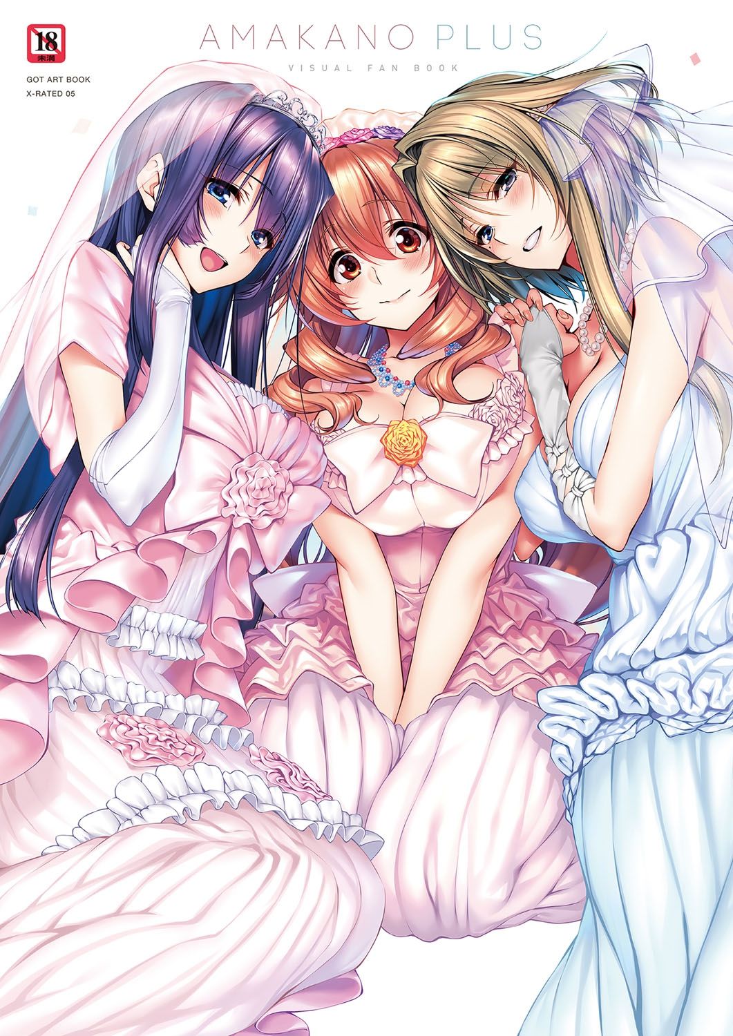 Amakano+ Visual Fan Book page 1 full