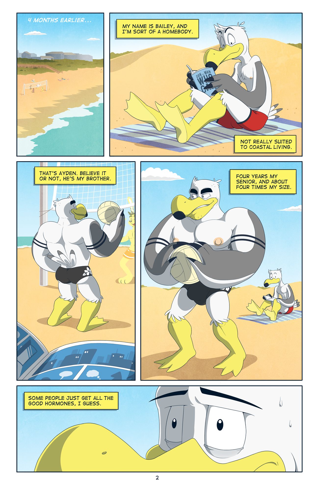 Brogulls page 4 full