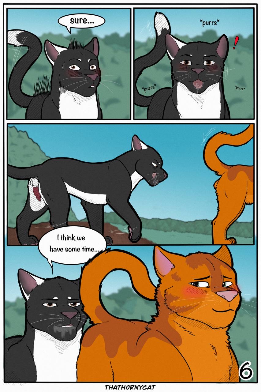 Talltail x Jake page 8 full