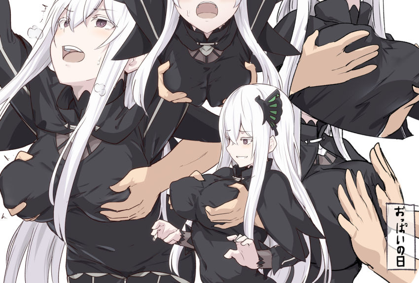 Echidna  Collection page 5 full