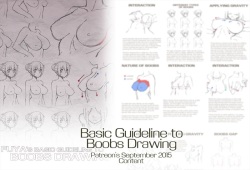 Basic Guideline to Boobs