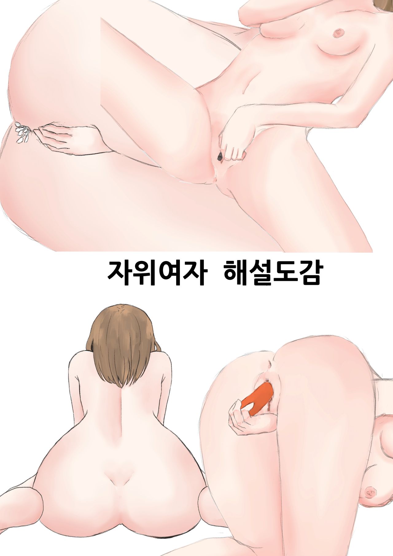 자위여자 해설도감 page 2 full