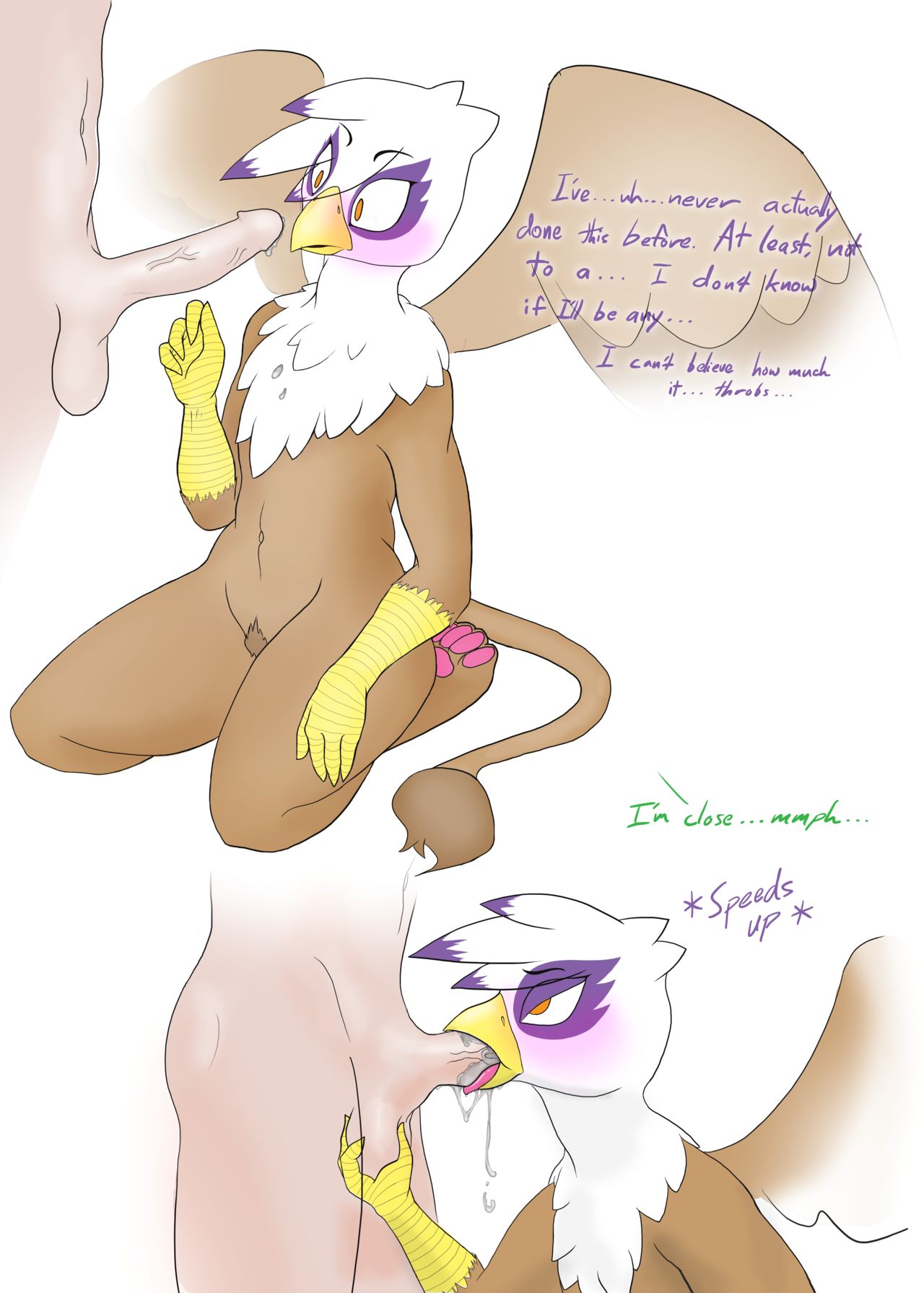 ARTIST Mrponeswildride page 7 full