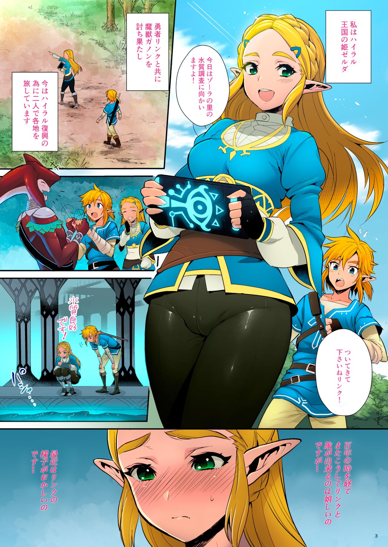 Hyrule Hanei no Tame no Katsudou! | Taking Steps to Ensure Hyrule's Prosperity! page 4 full