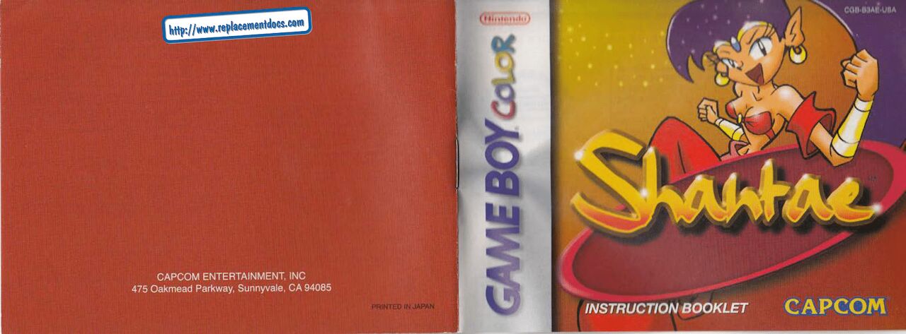 Shantae Manual + Official Art page 1 full