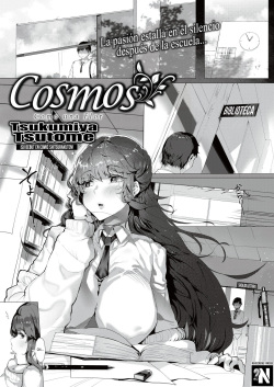 Cosmos - Like a Flower