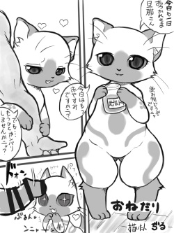 Diru - Felyne Manga + extras