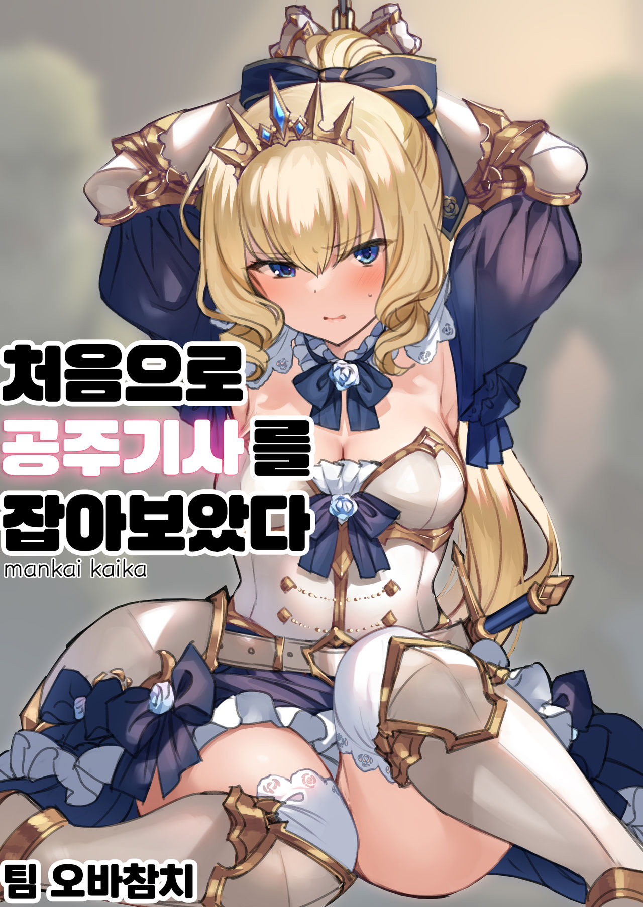 Hajimete Hime Kishi o Tsukamaete mita | 처음으로 공주기사를 잡아보았다 page 1 full