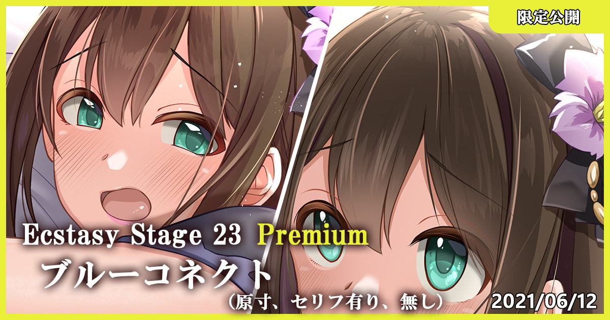 Ecstasy Stage 23 Premium Blue Connect page 1 full