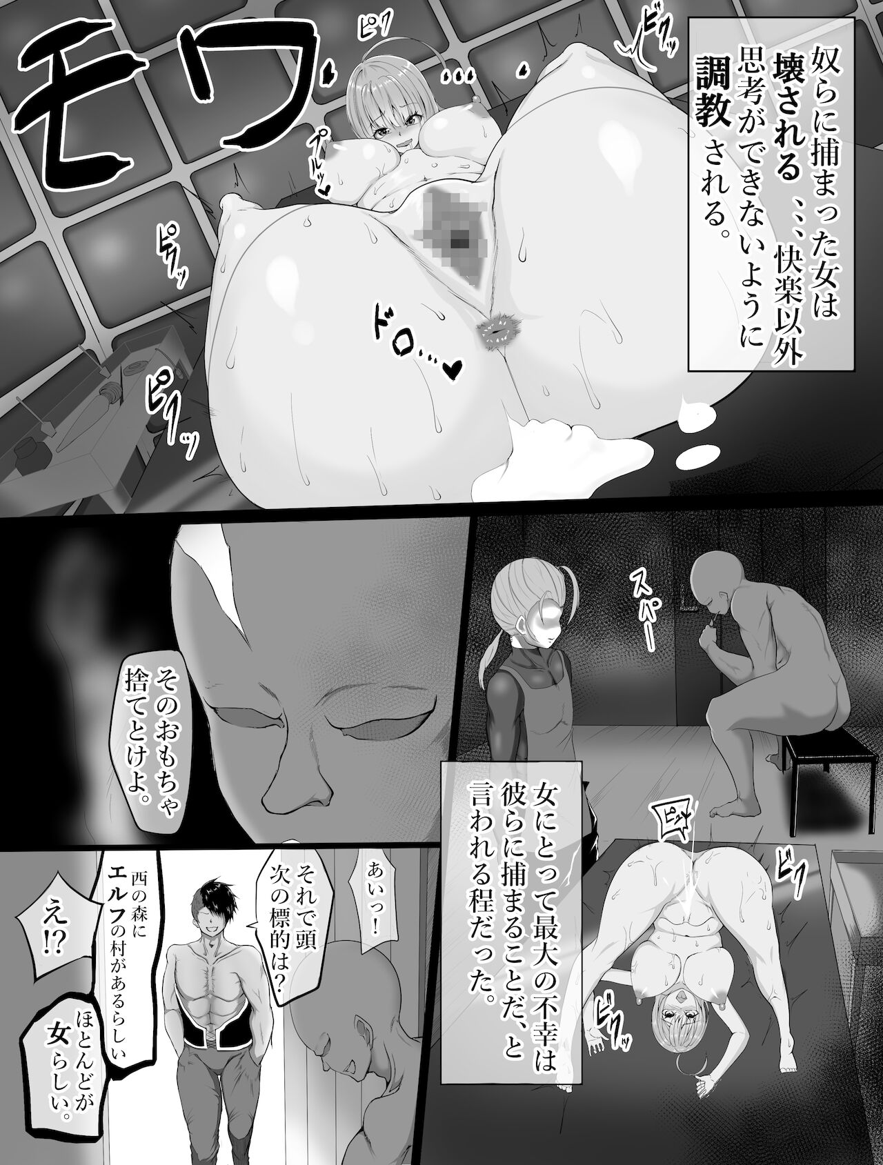 eruhu teihen dorei he to otiru～ tyoukyou hen page 2 full