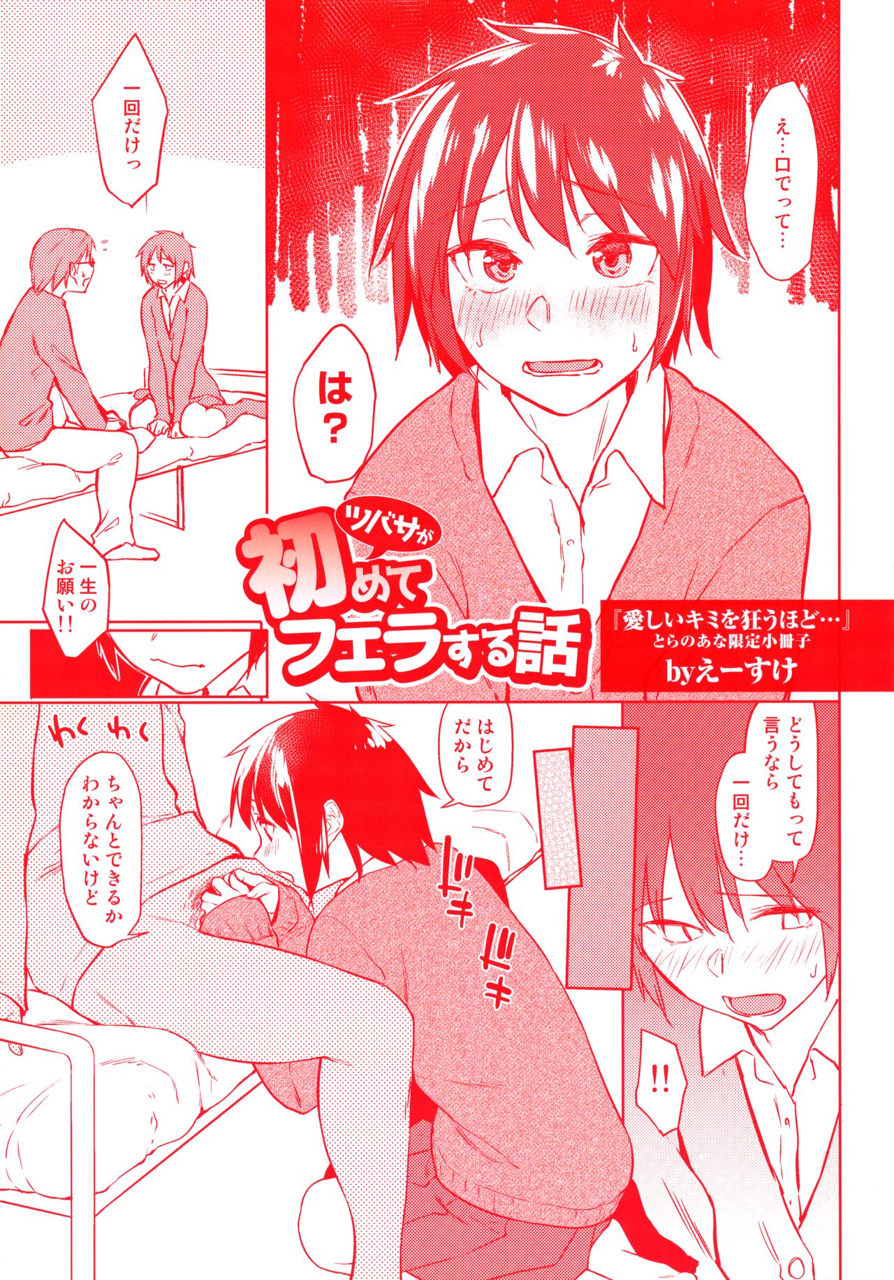 Itoshii Kimi wo Kuruu Hodo Toranoana Gentei 4P Leaflet Tsubasa ga Hajimete Fera suru Hanashi page 1 full
