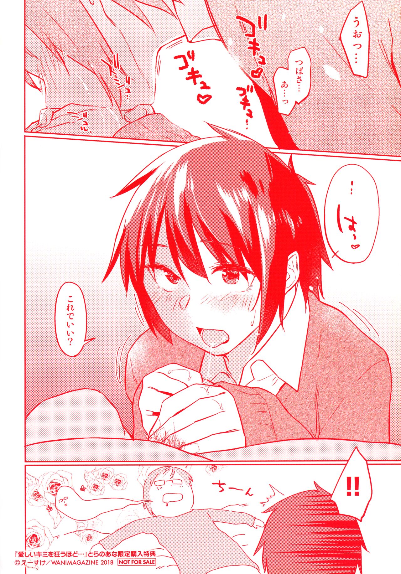 Itoshii Kimi wo Kuruu Hodo Toranoana Gentei 4P Leaflet Tsubasa ga Hajimete Fera suru Hanashi page 4 full