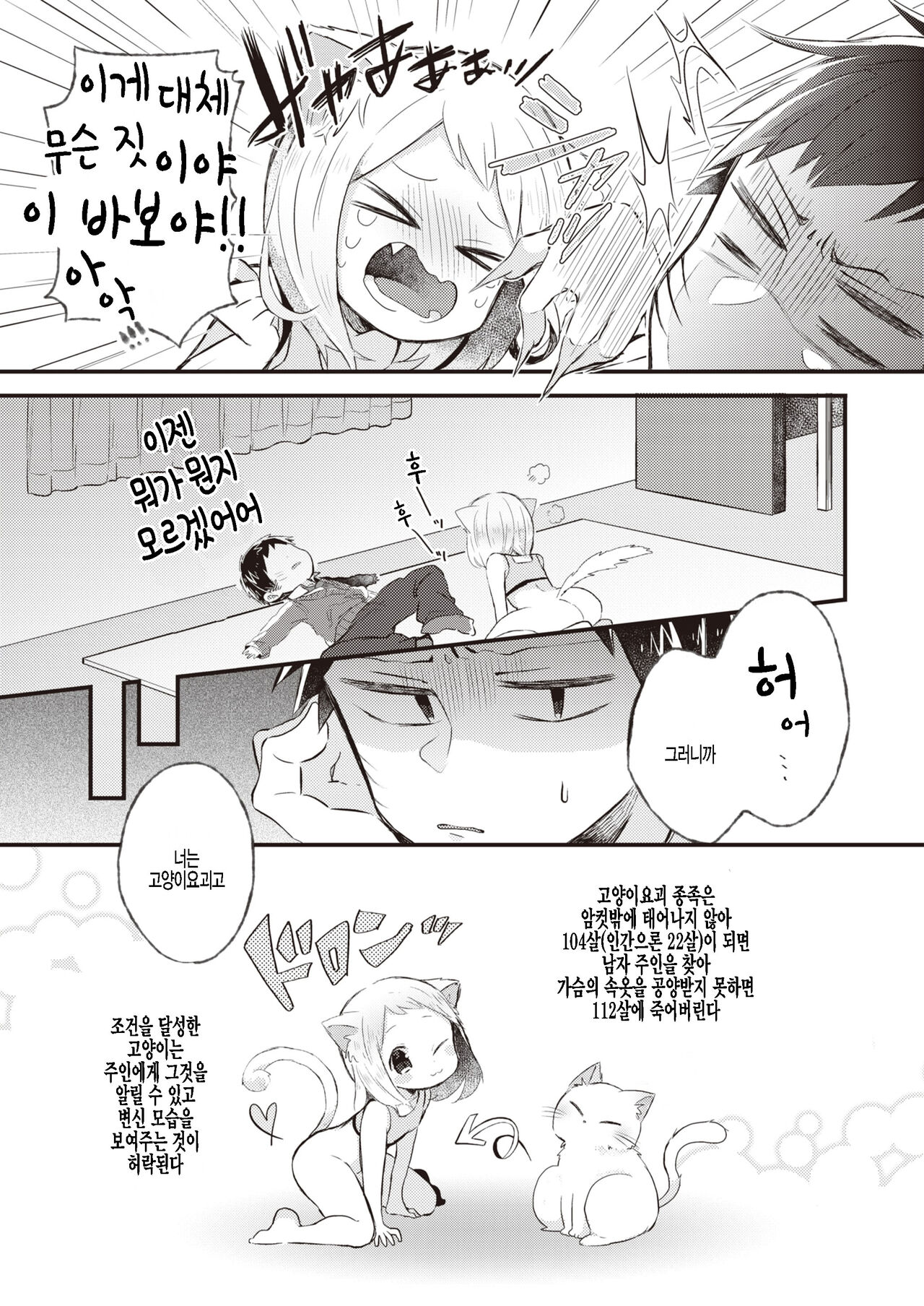 Nyan toka Shite yo!! page 5 full