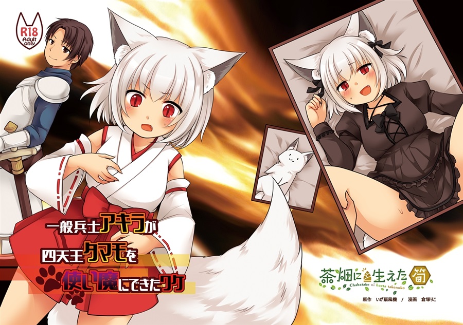 The reason why Akira, a general soldier, was able to use the four heavenly kings Tamamo as a familiar page 1 full