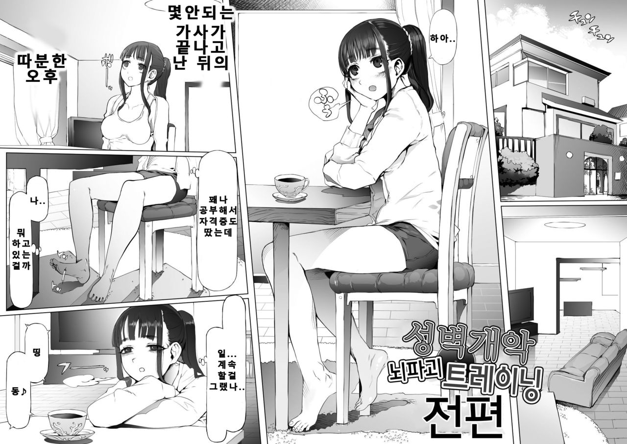 Seiheki Kaiaku Noukai Training | 성벽개악 뇌파괴 트레이닝 page 3 full